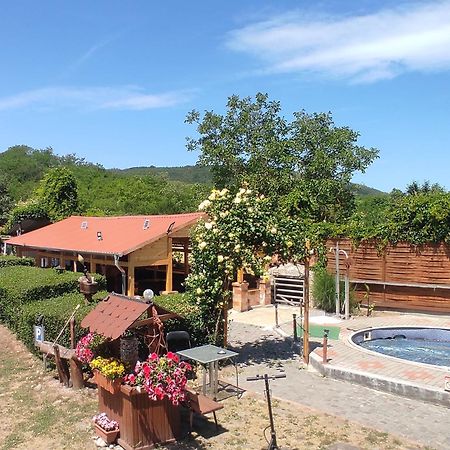 Guesthouse Ilona Velky Kamenec Εξωτερικό φωτογραφία