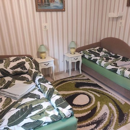 Guesthouse Ilona Velky Kamenec Εξωτερικό φωτογραφία