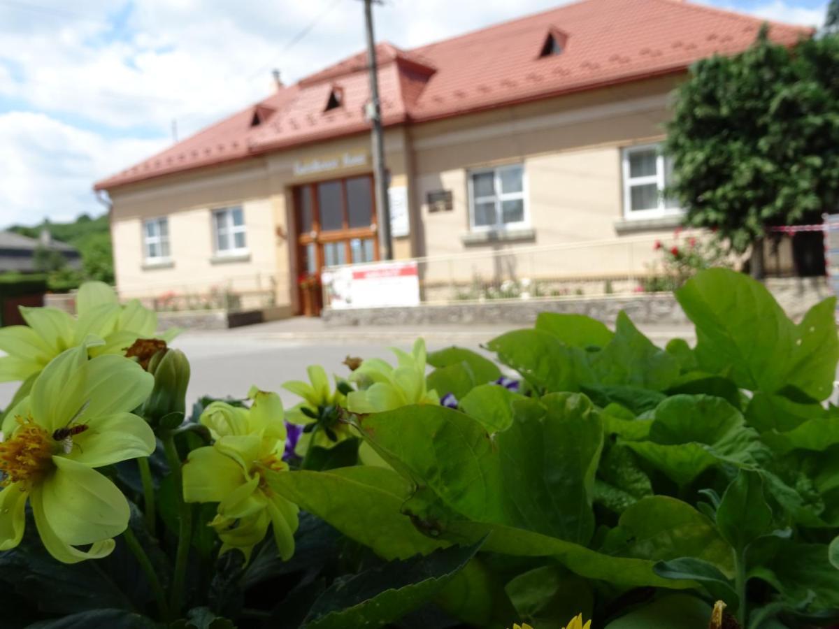 Guesthouse Ilona Velky Kamenec Εξωτερικό φωτογραφία