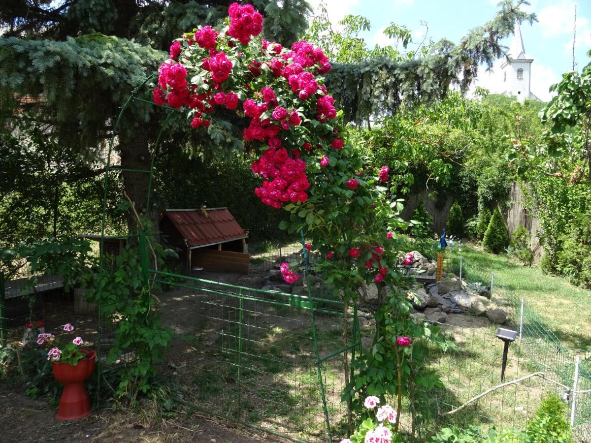 Guesthouse Ilona Velky Kamenec Εξωτερικό φωτογραφία