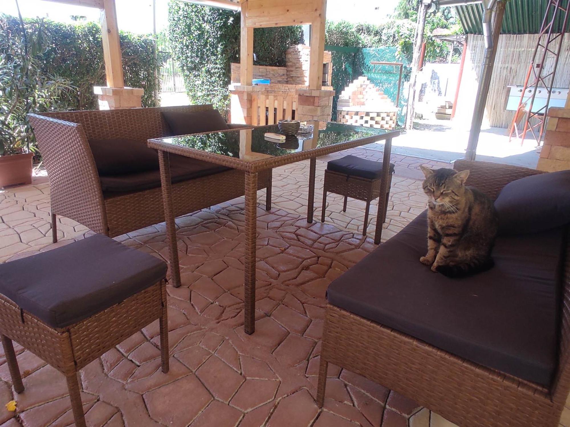 Guesthouse Ilona Velky Kamenec Εξωτερικό φωτογραφία