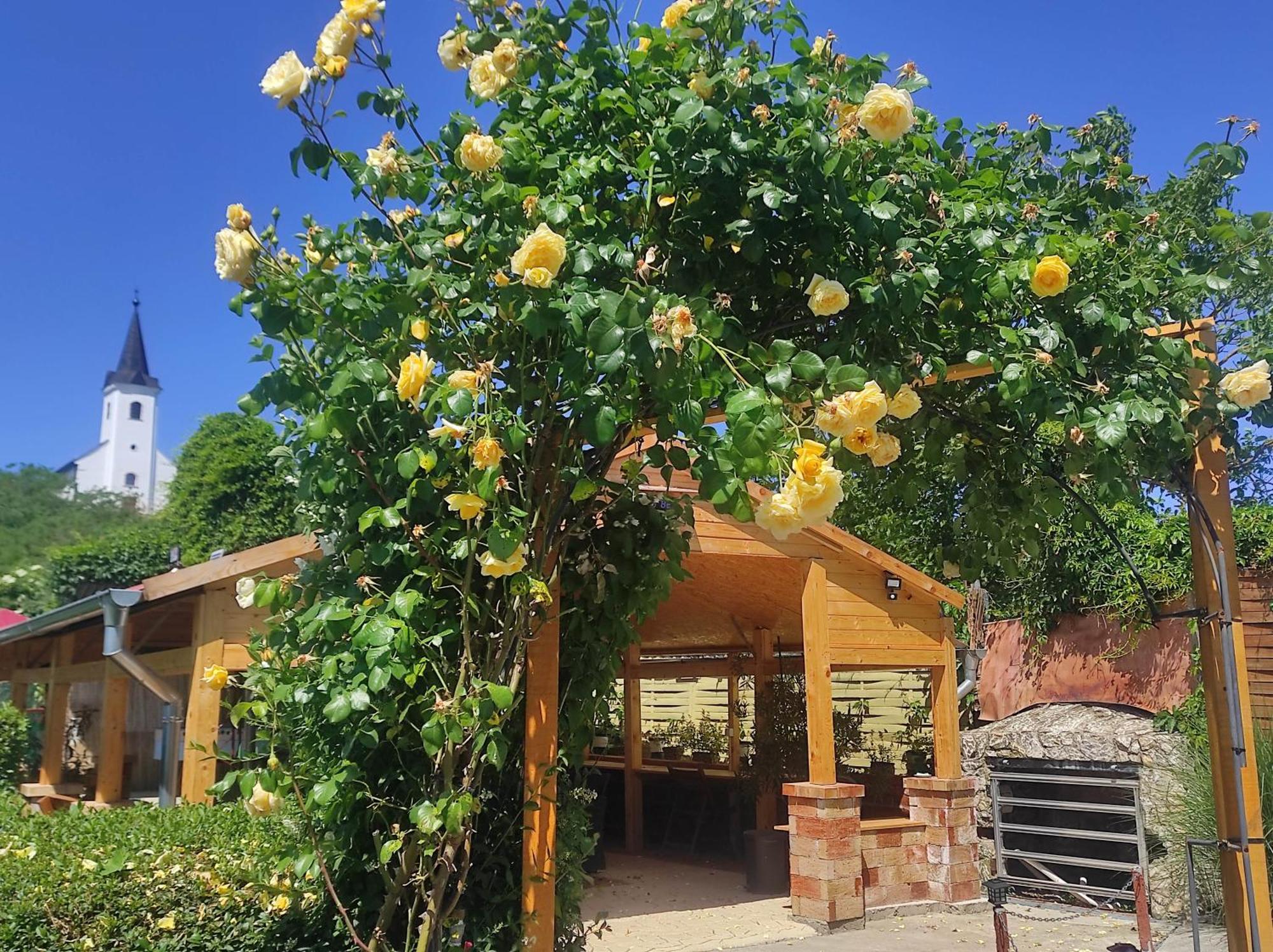 Guesthouse Ilona Velky Kamenec Εξωτερικό φωτογραφία
