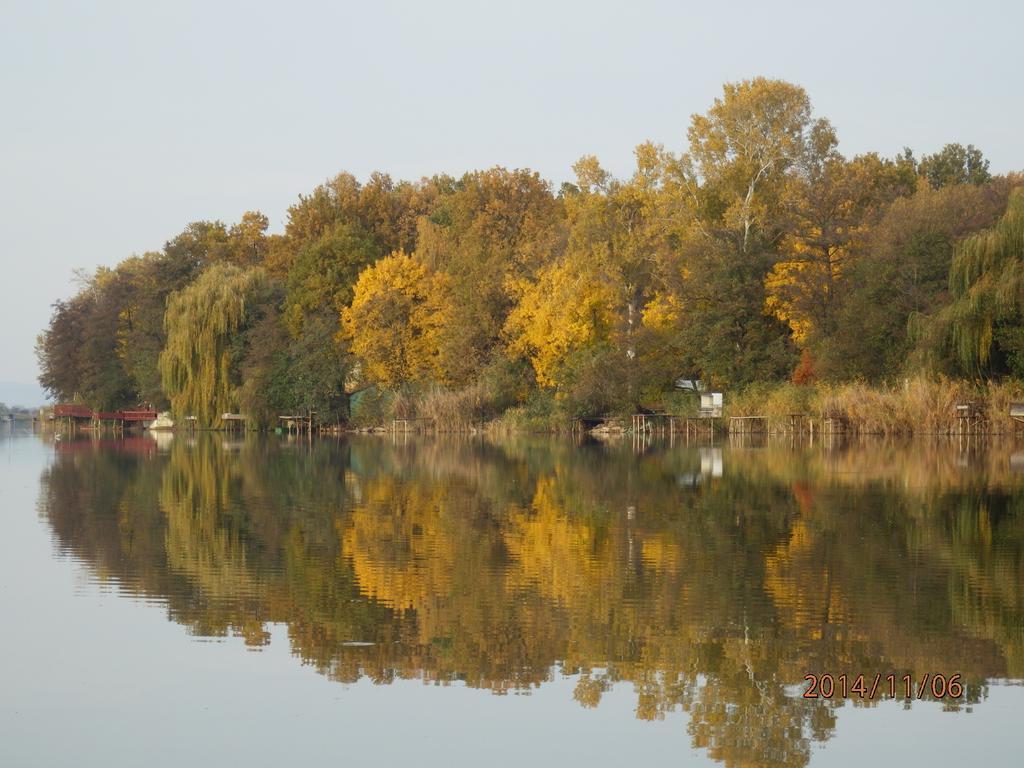 Guesthouse Ilona Velky Kamenec Εξωτερικό φωτογραφία