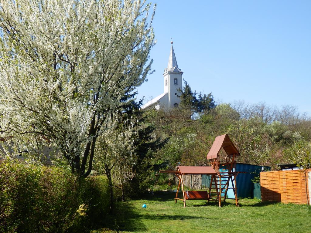 Guesthouse Ilona Velky Kamenec Εξωτερικό φωτογραφία